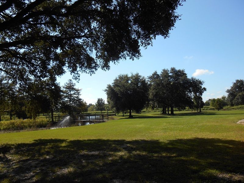 13505 Junius Rd, Abbeville, LA 70510